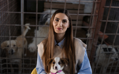 Scandalul „abatoarelor de câini”, dezvăluit de Buletin de București, a scos la iveală un sistem corupt de gestionare a câinilor fără stăpân, bazat pe contracte publice dubioase și lipsa de control