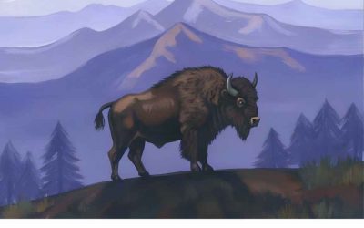 România, pe harta mondială a sunetelor naturii prin Earth FM