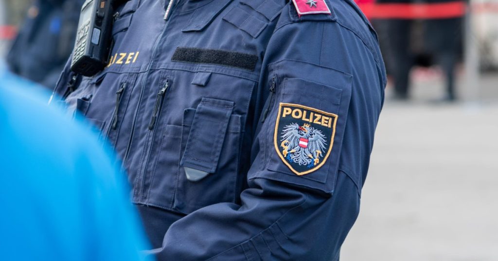 Viena: Poliția a reținut o bandă de escroci români