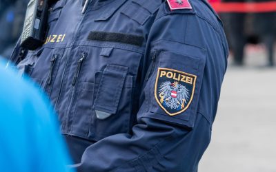 Viena: Poliția a reținut o bandă de escroci români