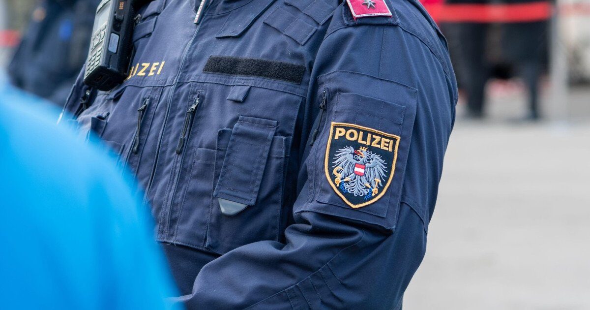 Viena: Poliția a reținut o bandă de escroci români