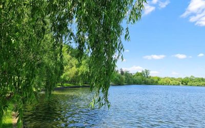Vremea se schimbă: Ploi sâmbătă, soare și 20 de grade Celsius de Florii Weekendul aduce o schimbare a vremii în România, cu ploi însemnate sâmbătă, urmate de soare și temperaturi de peste 20 de grade Celsius duminică, de Florii