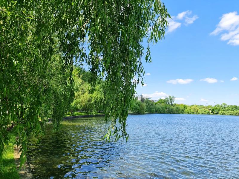 Vremea se schimbă: Ploi sâmbătă, soare și 20 de grade Celsius de Florii Weekendul aduce o schimbare a vremii în România, cu ploi însemnate sâmbătă, urmate de soare și temperaturi de peste 20 de grade Celsius duminică, de Florii