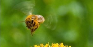 Vremea se încălzește: Temperaturi de 20 de grade joi în regiunea Pécs