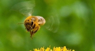 Melegszik az idő, akár húsz fok is lehet csütörtökön!