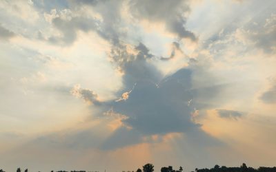 Weather & Traffic: Thursday 9 April: Walking on sunshine... but also clouds and a bit of rain