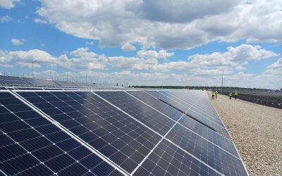 Băieții „deștepți” din energie vând parcuri solare pe OLX. Ce face statul?