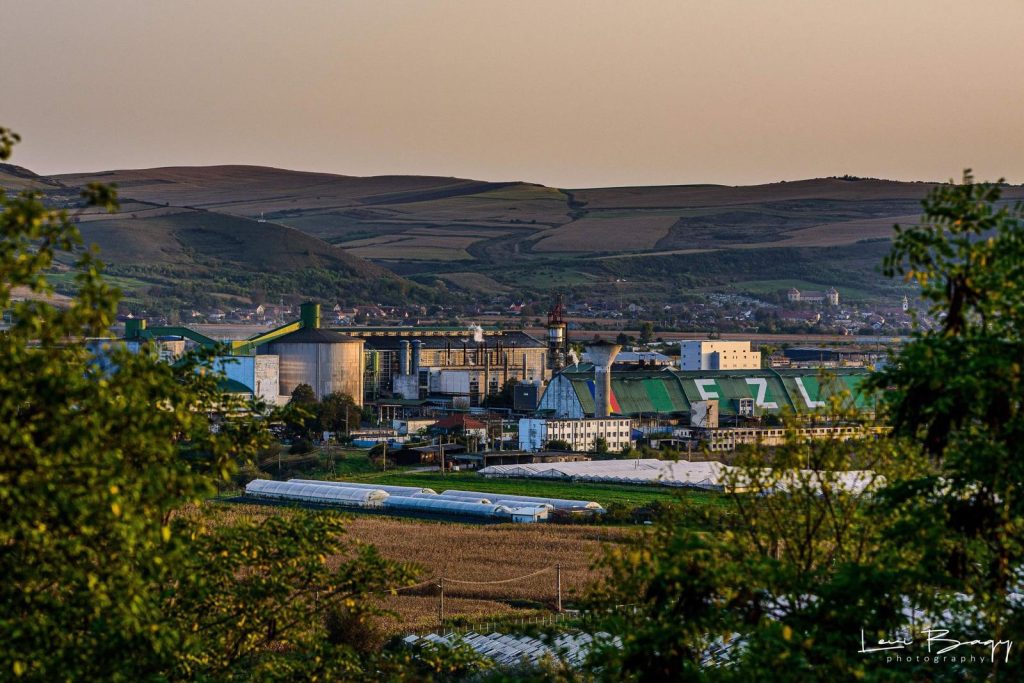 Afacerile ZAHĂR Luduș în 2023: Ce succes a avut singura fabrică românească