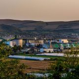 Afacerile ZAHĂR Luduș în 2023: Ce succes a avut singura fabrică românească