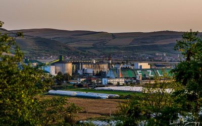 Afacerile ZAHĂR Luduș în 2023: Ce succes a avut singura fabrică românească