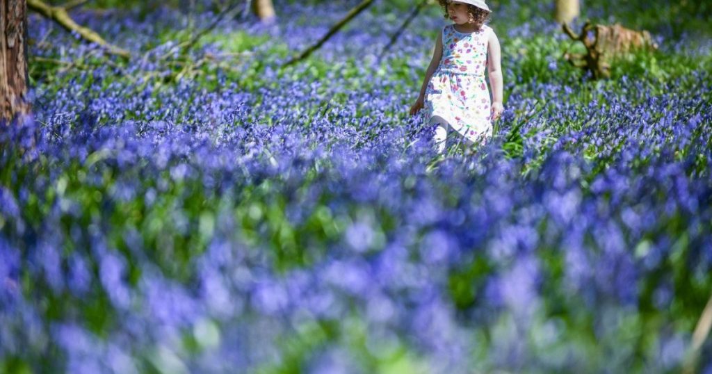 Vine căldura în România: Când urcă temperaturile în toată țara. Zona unde e mai cald