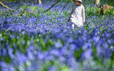 Vine căldura în România: Când urcă temperaturile în toată țara. Zona unde e mai cald
