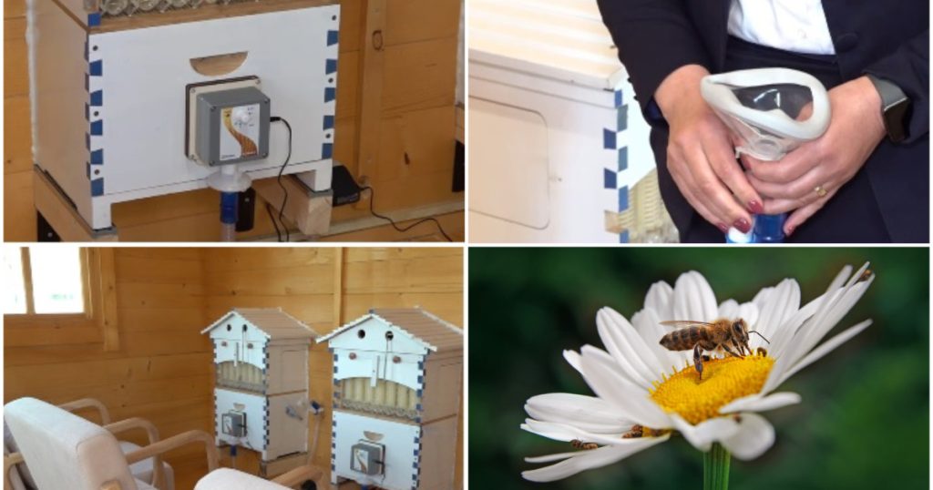 Apiterapie: Secretul vindecător din stupi. Unde se practică în România?