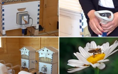 Apiterapie: Secretul vindecător din stupi. Unde se practică în România?