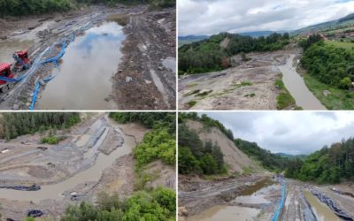 Castorii, țapi ispășitori la Salina Praid Interviu exclusiv cu ministrul: „Nu-și asumă”