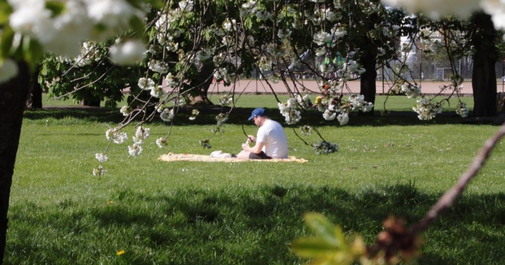 Meteorologii anunță: Cum va fi vremea de 1 Mai și în următoarele patru săptămâni?