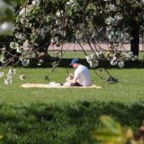 Meteorologii anunță: Cum va fi vremea de 1 Mai și în următoarele patru săptămâni?