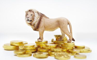 Euro, în creștere ACCELERATĂ: Cursul BNR, atinge noi recorduri