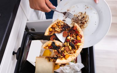 România, groapa de gunoi a Europei: 3,4 milioane de tone de mâncare irosite anual