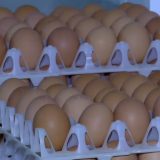 Ouă cu Salmonella pe piață: Retragere de urgență a 1,5 milioane de bucăți