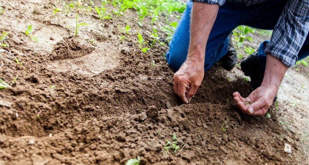Agricultorii europeni, în fața unei crize profunde: Bruxelles cheamă la discuții BRUXELLES – Reprezentanții sectorului agricol european se vor reuni la BRUXELLES pe 13 aprilie, pentru discuții urgente cu Comisia Europeană