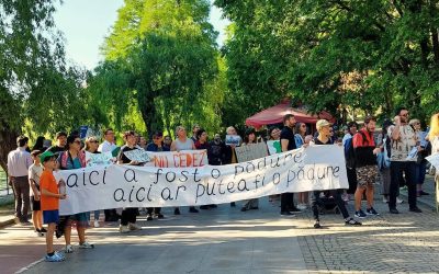 Cum poți schimba Bucureștiul: Lecții practice de civism din 5 cartiere