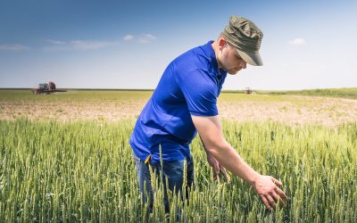 Criza îngrășămintelor, la Bruxelles: Fermierii cer măsuri urgente