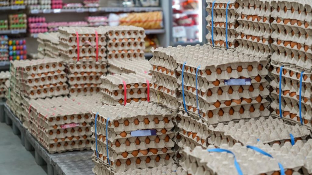 Alertă de Paște: 1,5 milioane de ouă cu Salmonella, retrase din Vaslui