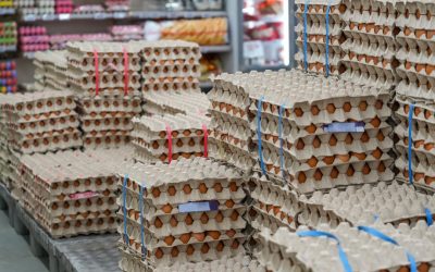 Alertă de Paște: 1,5 milioane de ouă cu Salmonella, retrase din Vaslui