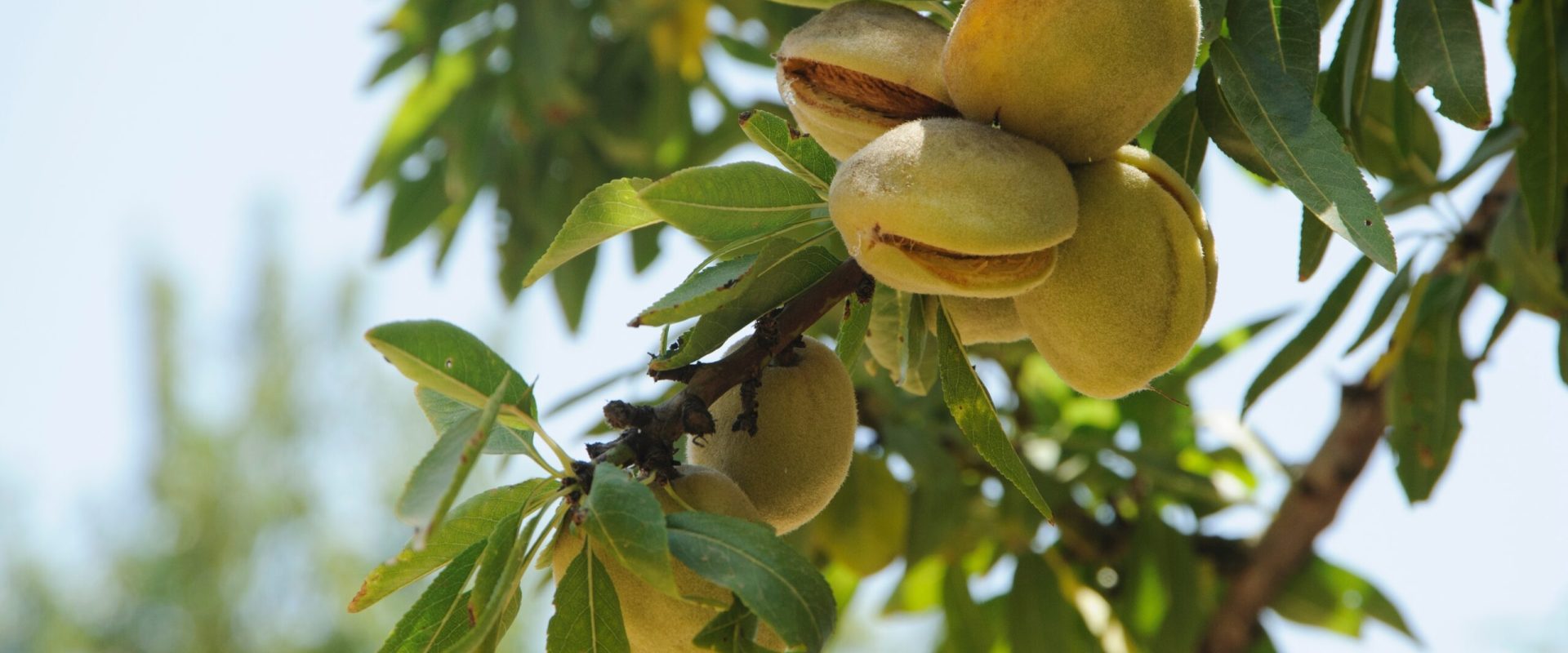 7 alimente salvatoare: Ce mâncăm ca să fim sănătoși de azi