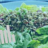 Ce și cum mâncăm: Ghidul nutrițional pe vârste, de la copilărie la vârsta a III-a