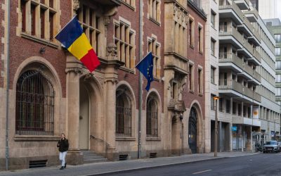 America, inamicul? Un român refuză să confunde țuica cu kombucha