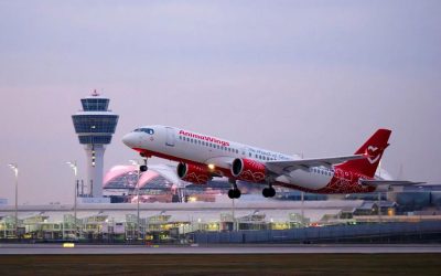 AnimaWings lansează zboruri din două orașe românești spre Atena