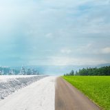 Anotimpurile, date peste cap: Un nou studiu trage semnalul de alarmă