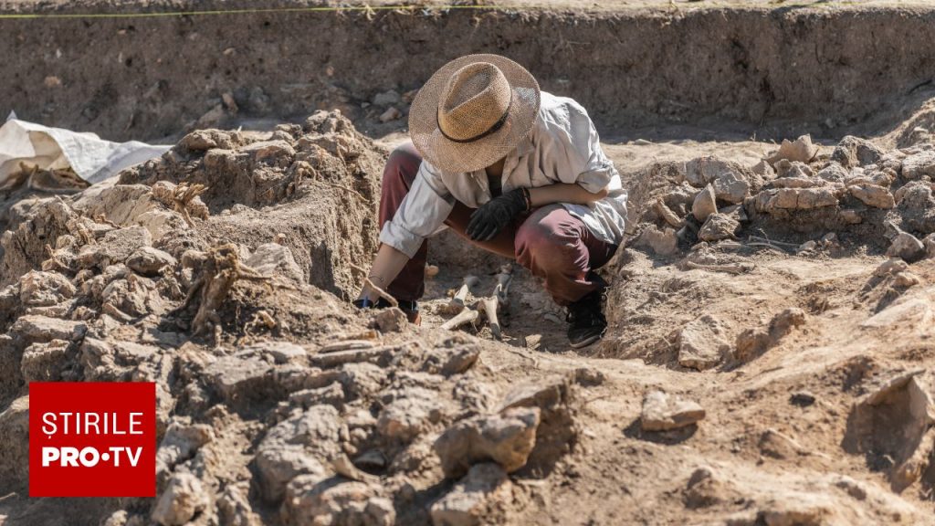 Misiune arheologică în Egipt: Descoperire ULUITOARE în provincia MINYA