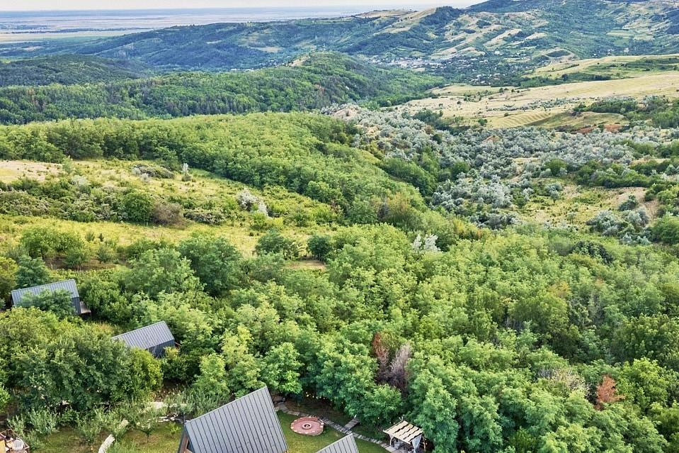 Arta Chalet: O oază de lux din Dealu Mare, visul devenit realitate în România