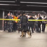 Americanul „Lucifer” a măcelărit bătrâni în metroul din New York, apoi a fost împușcat