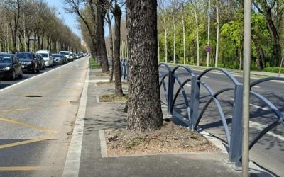 Autobuzele intră de sâmbătă pe bandă dedicată în București, pe un bulevard aglomerat