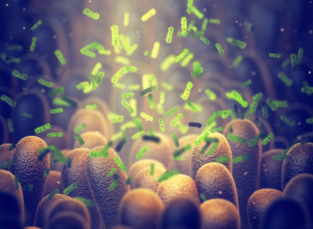 Bacterie ucigașă: Oamenii de știință spulberă tumorile din interior