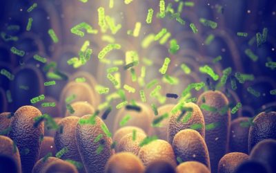 Bacterie ucigașă: Oamenii de știință spulberă tumorile din interior