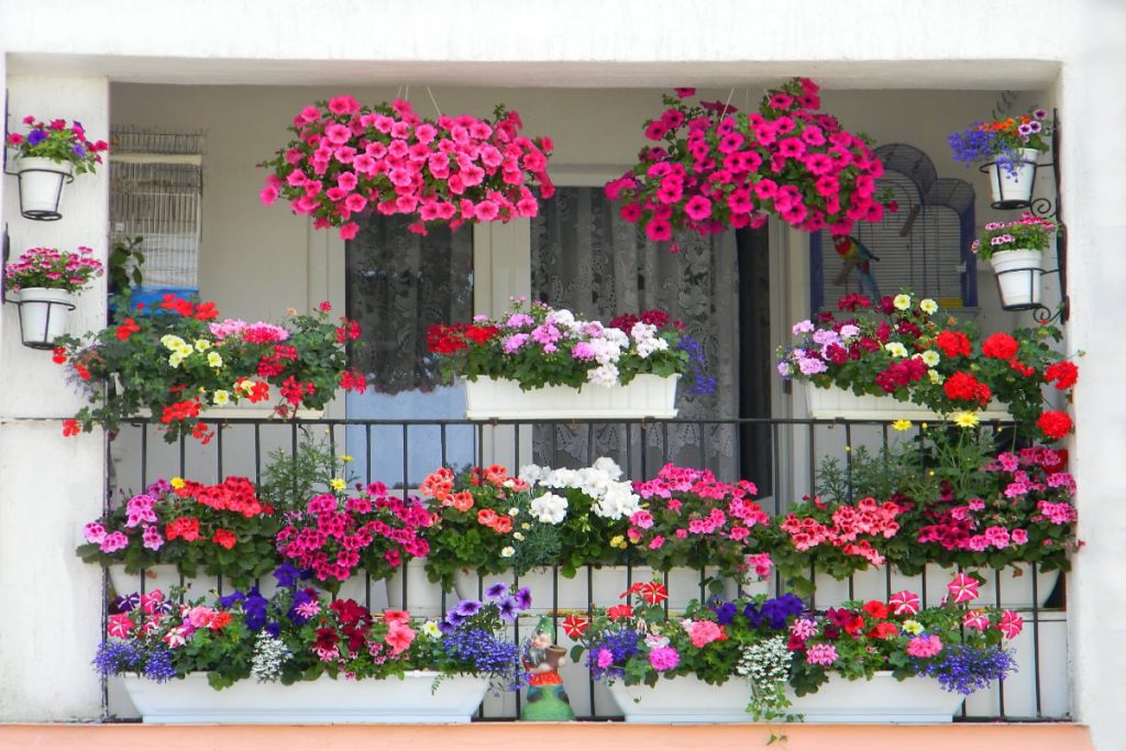 7 trucuri pentru un balcon de vis: Transformă-l într-o oază de culoare!