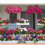7 trucuri pentru un balcon de vis: Transformă-l într-o oază de culoare!