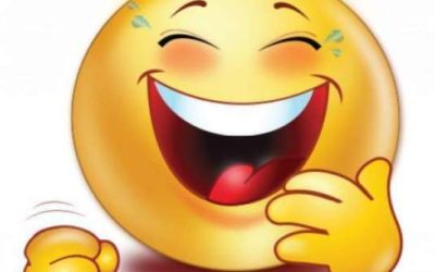 Ursul și Vulpea, amici de nădejde: Bancul zilei face furori