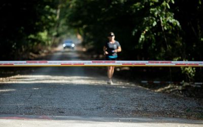 Romsilva închide drumul prin Pădurea Băneasa: Blocajul bucureștenilor