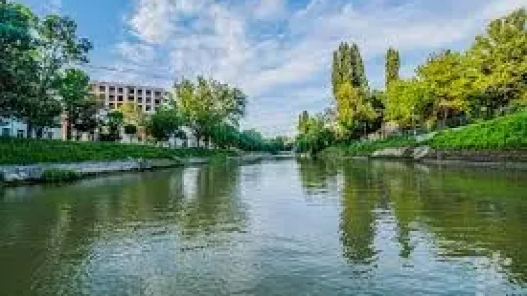 Bega, artera verde a Timișoarei: Artă și cercetare despre oraș și natură