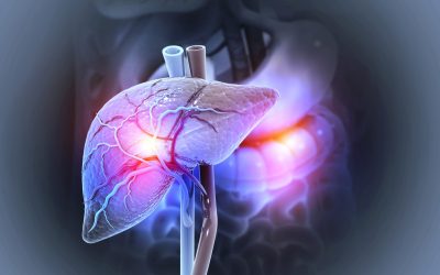 Ficat gras: 1,8 miliarde de oameni, amenințați până în 2050