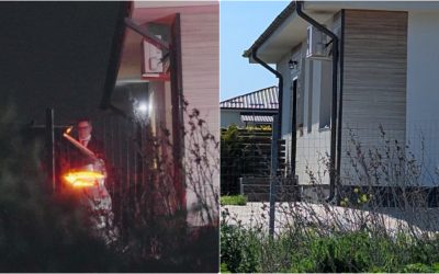 Afacerea Elena Lasconi: Procurorii, la plevușcă în ancheta prezidențială