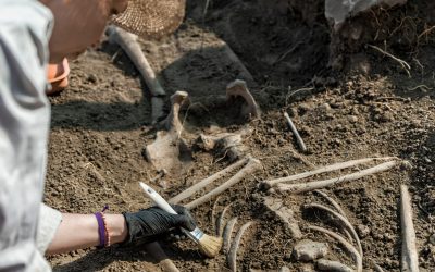 Peisaj ancestral: Oameni din urmă cu 100.000 de ani, dezgropați