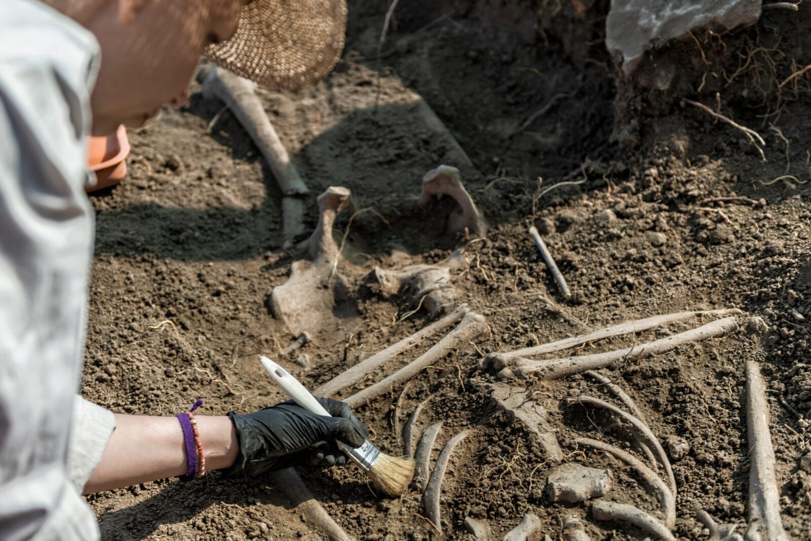Peisaj ancestral: Oameni din urmă cu 100.000 de ani, dezgropați