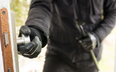 Șase furturi bizare: De la dinți de Donald Trump la… Nimic altceva